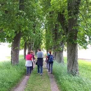 Weg nach Bad Wimsbach-Neydharting