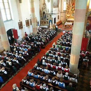 Bezirksgoldhaubentreffen 2013 