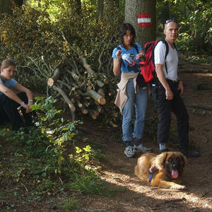 Herbstwanderung 