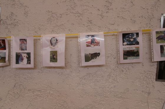 Auch in der Ferne wurden Tiere gesegnet, deren Fotos ebenfalls in der Kirche Platz fanden.