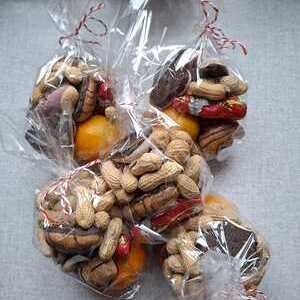 Begegnung mit dem Nikolaus