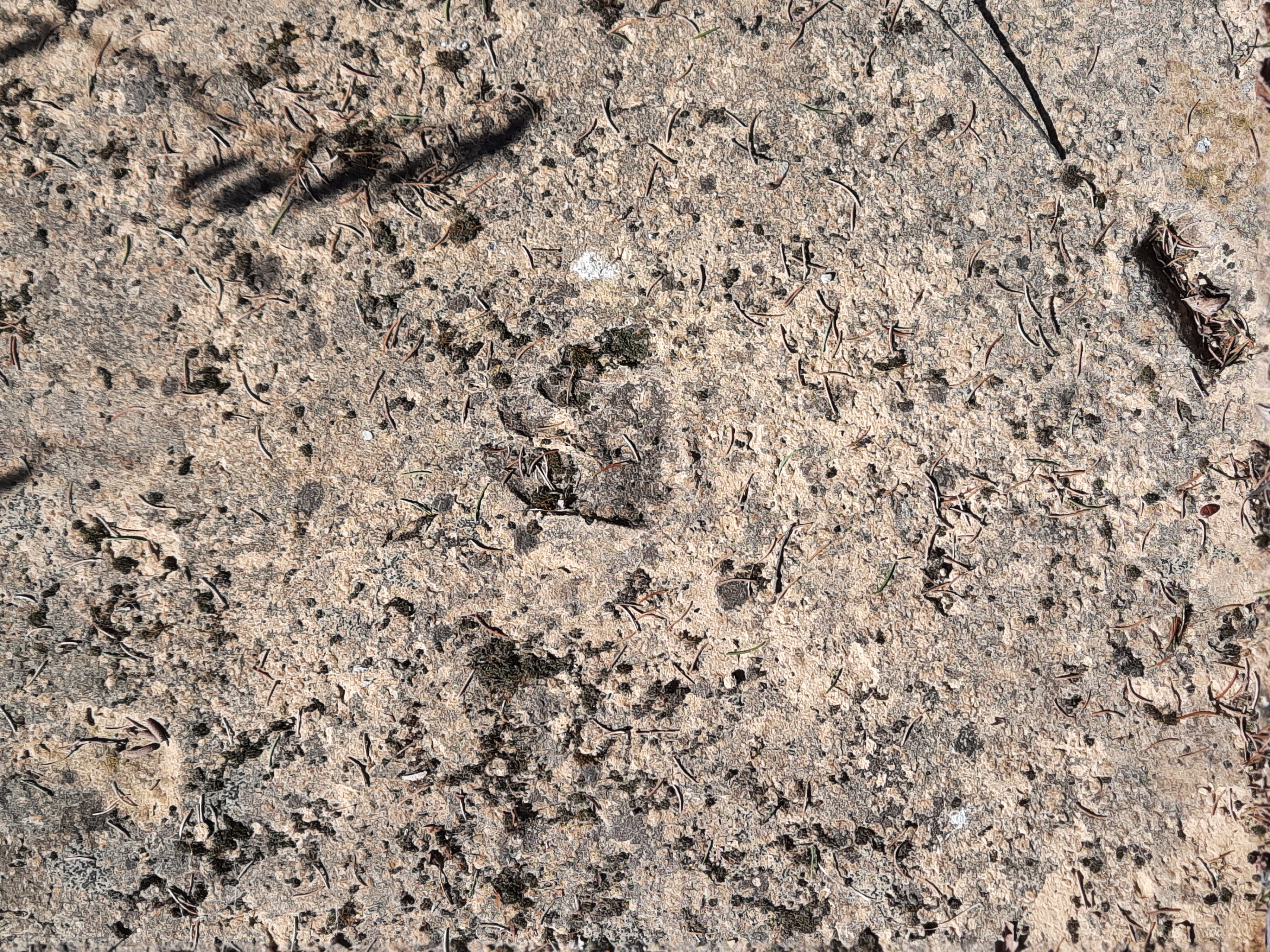 Kreuzweg Zwettl an der Rodl / Christoph Froschauer Stationen