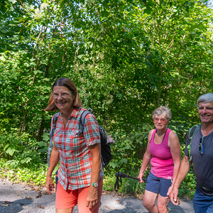 Pfarrwallfahrt, Tag des Ehrenamtes
