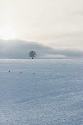 Winterlandschaft