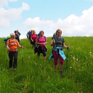 29. Mai bis 31. Mai 2021