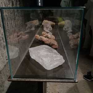 Dienstag, 12. Juli 2022