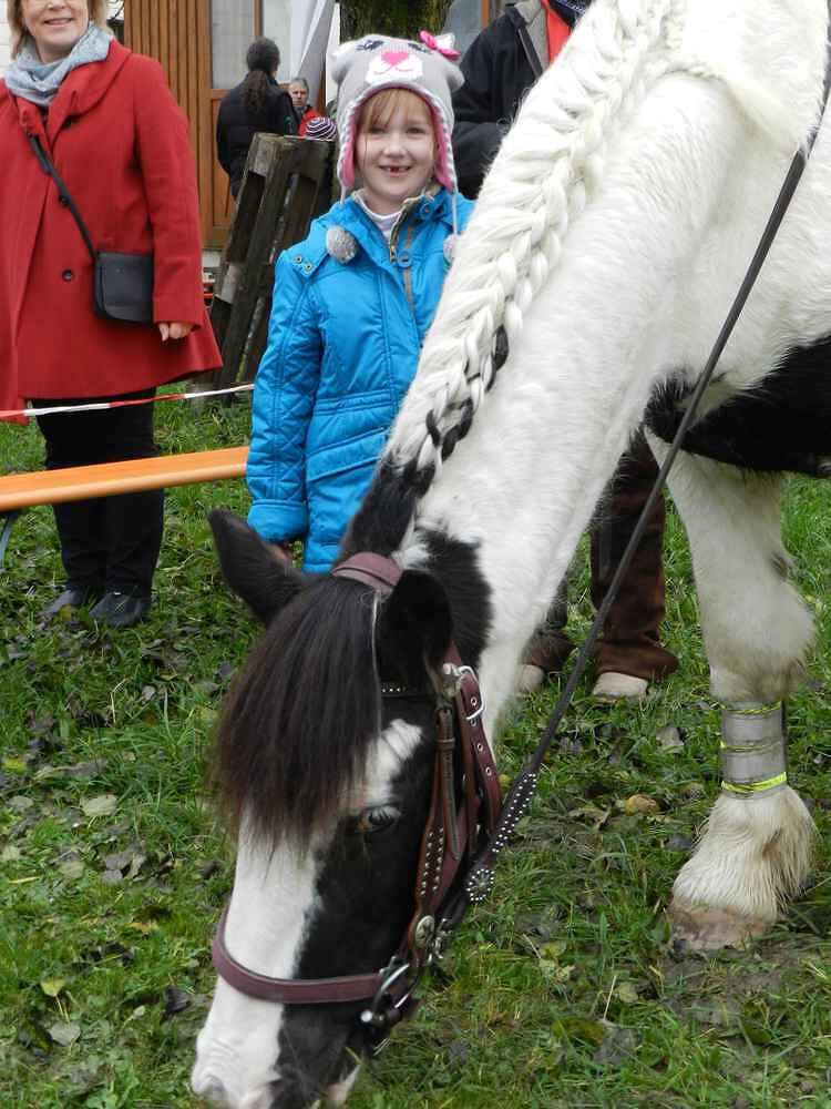 Leonhardi Ritt 09.11.2014