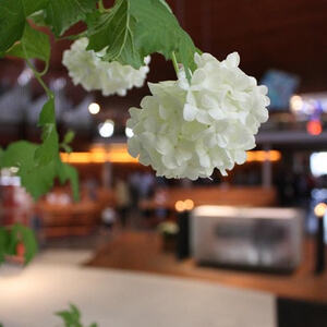 Kindermesse am Muttertag