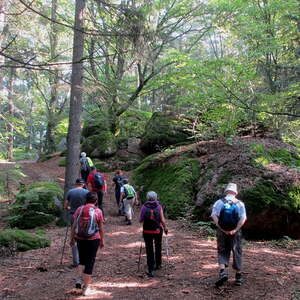 Naturparkweg Rechberg  