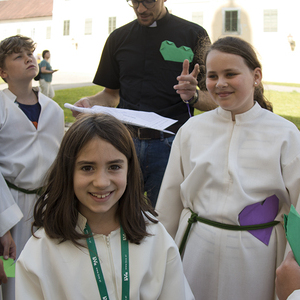 Minis in St. Florian