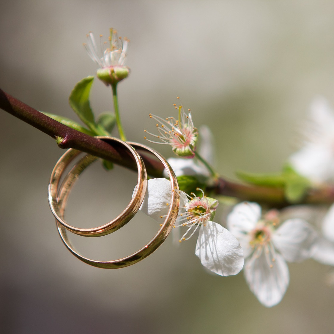 Hochzeit und Ehe