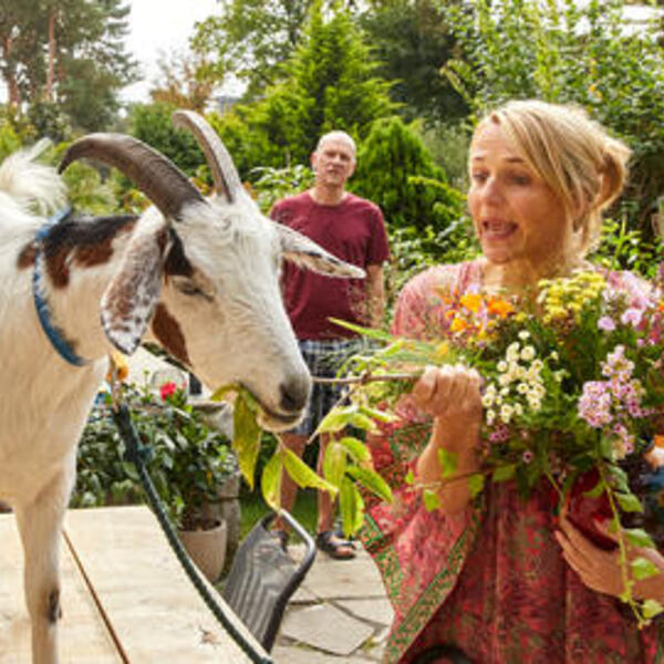 Klima retten für Anfänger