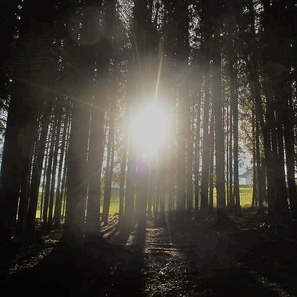 Sonnenaufgangswanderung