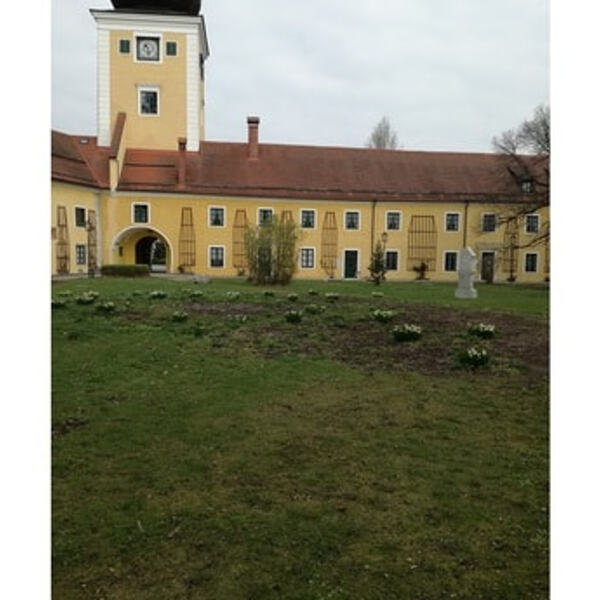 Baumpflanzung Schlosshof Puchheim