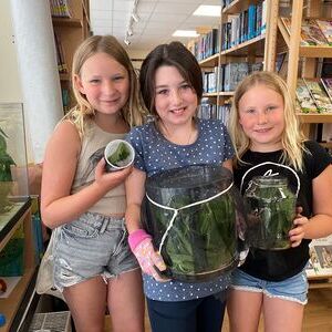 Raupen in der Bibliothek