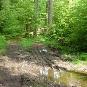 Firmvorbereitung und Firmung