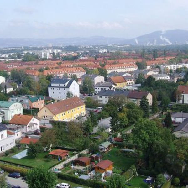 Luftbilder vom Riesenkran