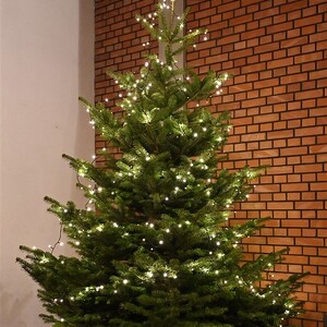 Weihnacht mit Älteren