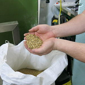 Bierbrauen bei Trauner-Bier