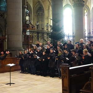 Chor des Konservatoriums für Kirchenmusik der Diözese Linz unter der Leitung von Andreas Peterl
