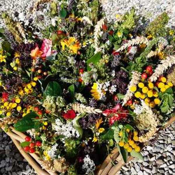 Maria Himmelfahrt / Iris Köllerer Maria Himmelfahrt