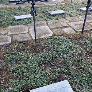 Pfarrausflug Wilhering