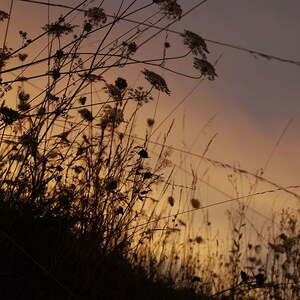 Jugend-Sommerwochenende in Kleinreifling