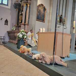 Täuflingen + Erskommunionkinder