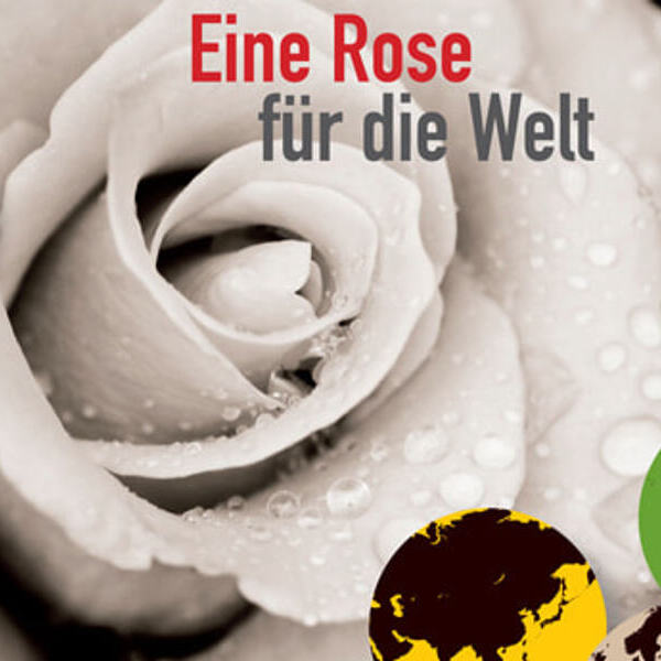 Rose für die Welt