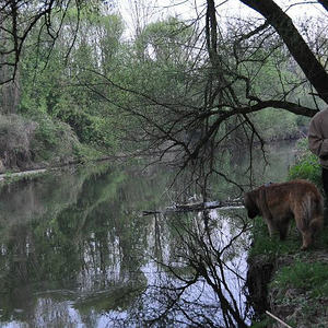 Emmausgang in den Ebelsberger-Traunauen