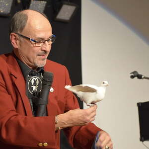 Pfarrball Ottnang 2016