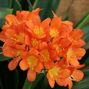 Ostern 2022 in St. Quirinus