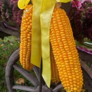 Erntedank und Mehlspeisbörse 2021