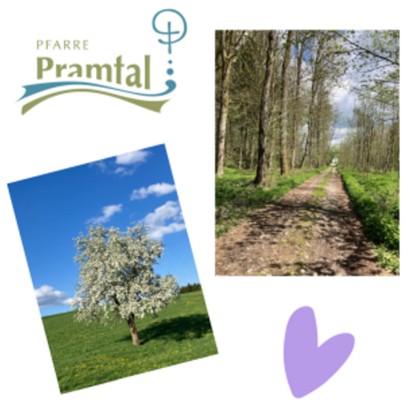 Frauenkraftweg