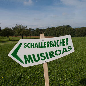 1. Schallerbacher Musiroas
