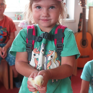 Kinder dürfen Küken halten