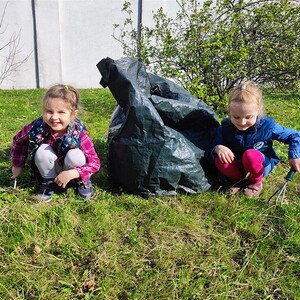 Auch heuer wieder Blühstreifen
