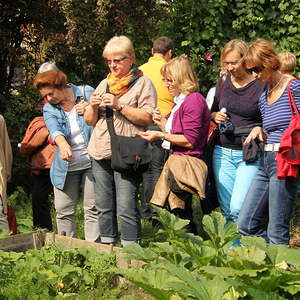 Ausflug der kfb 2014
