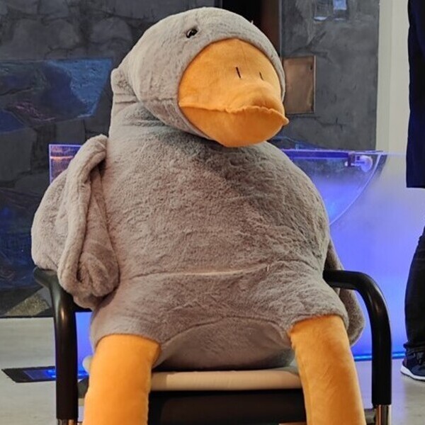 Kinder- und Kuscheltiersegnung