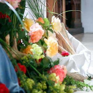 firmung pfarre sarleinsbach