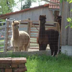 meditative Pilgerwanderung 28.4.18