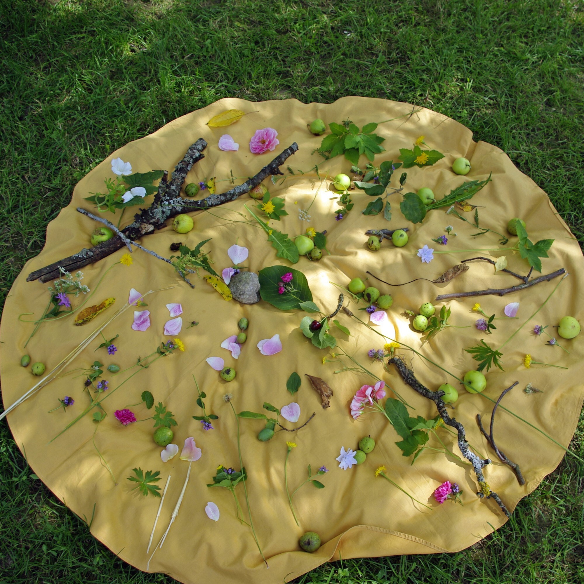 Picknickgottesdienst