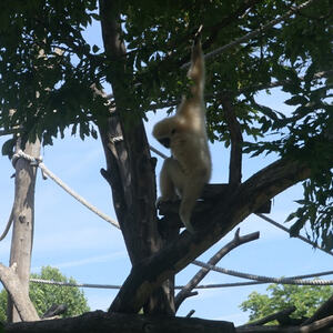 Minis-Ausflug nach Wien