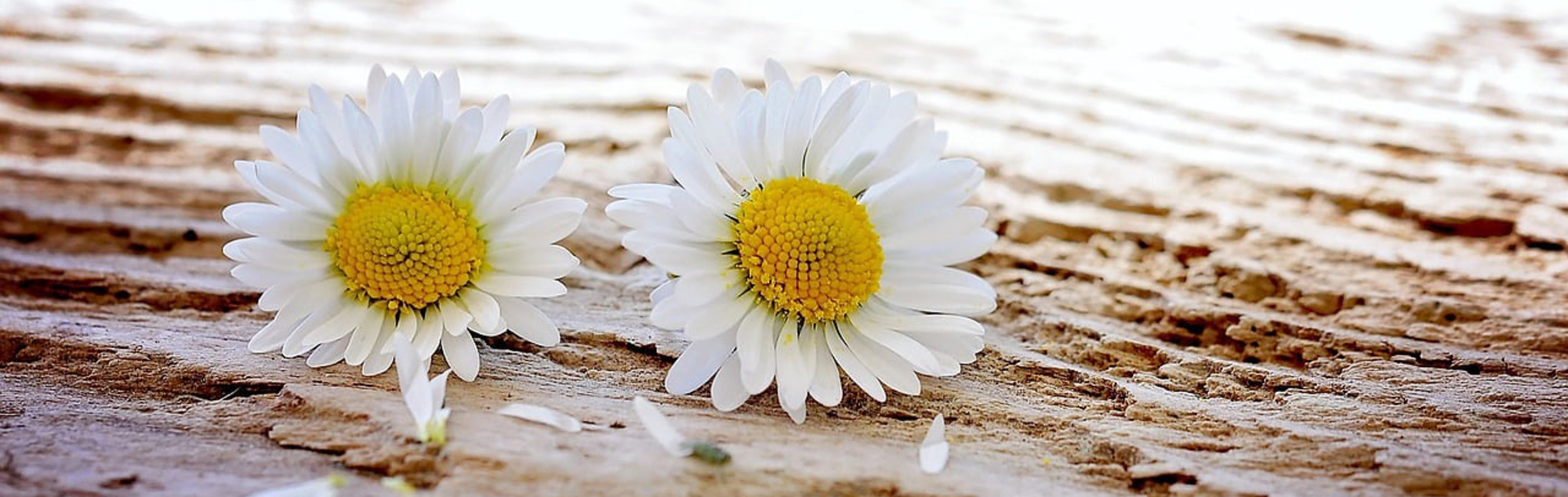 Kindergarten Linz-St. Theresia