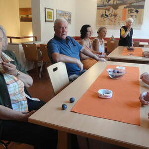 Seniorenrunde - Mostheuriger Hinterplattner