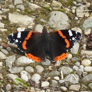 Heidewald Schieferegg - Umweltarbeit in der Diözese Linz
