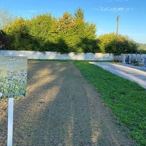 Nachher - jetzt heißt  es warten, auf die Blütenpracht.