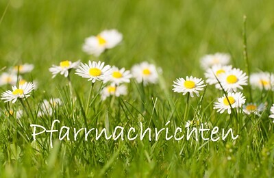 Pfarrnachrichten