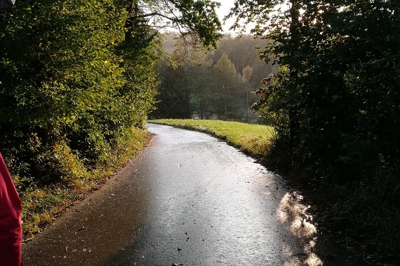 Sternwallfahrt / Ursula Putz auf dem Weg