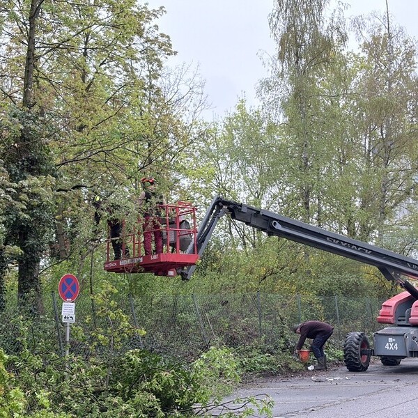Baumschnittaktion